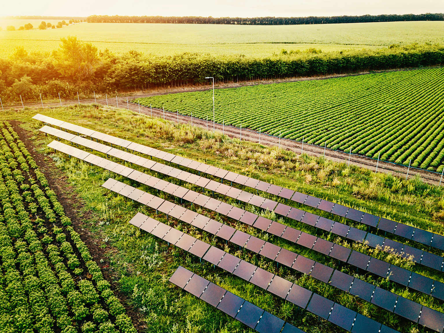SBTi Net-Zero Standard v2: Optional Flexibility Does Not Substitute Part D Measurement